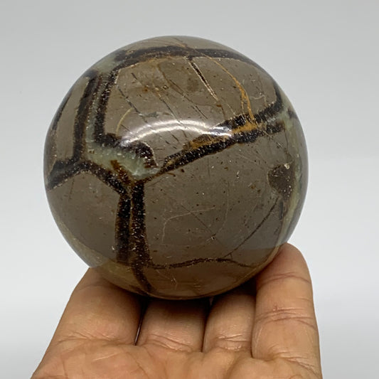 1 lbs, 2.7" (68mm), Natural Septarian Sphere Crystal Gemstone Ball, B37922