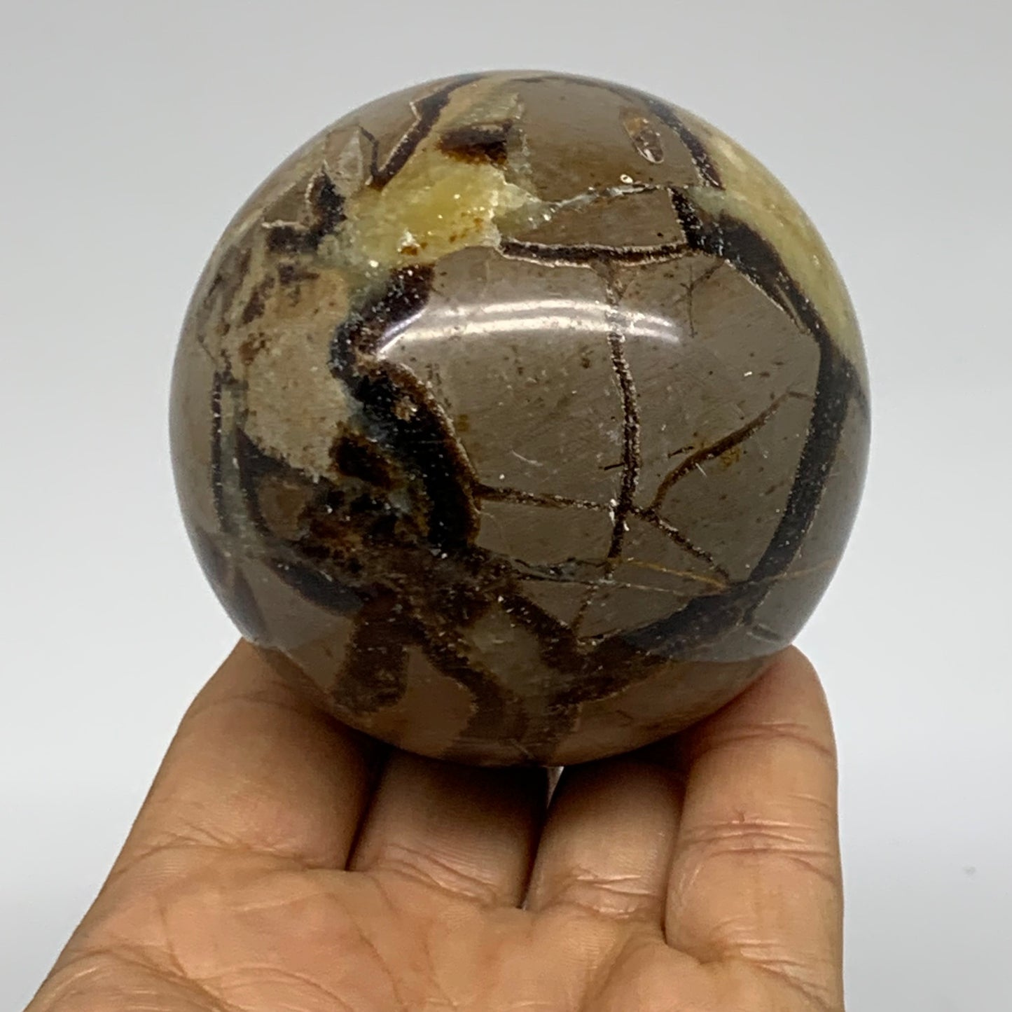 1 lbs, 2.7" (68mm), Natural Septarian Sphere Crystal Gemstone Ball, B37922