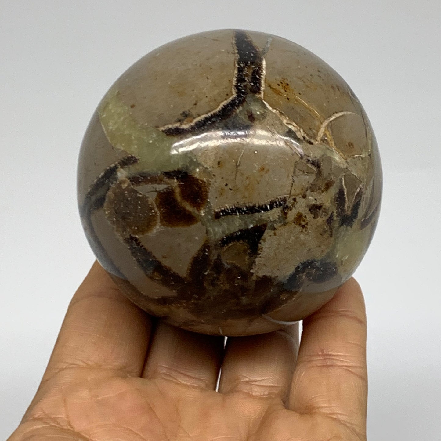 1 lbs, 2.7" (68mm), Natural Septarian Sphere Crystal Gemstone Ball, B37922