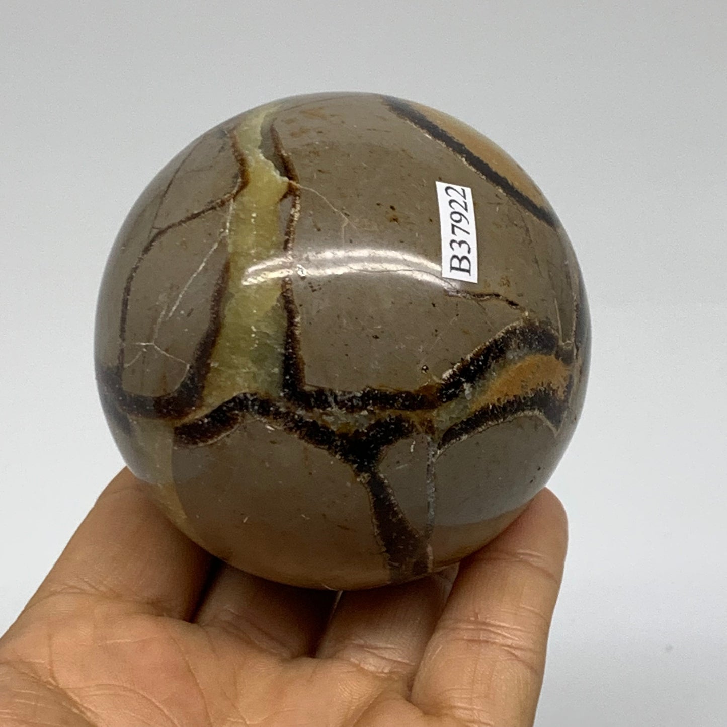 1 lbs, 2.7" (68mm), Natural Septarian Sphere Crystal Gemstone Ball, B37922
