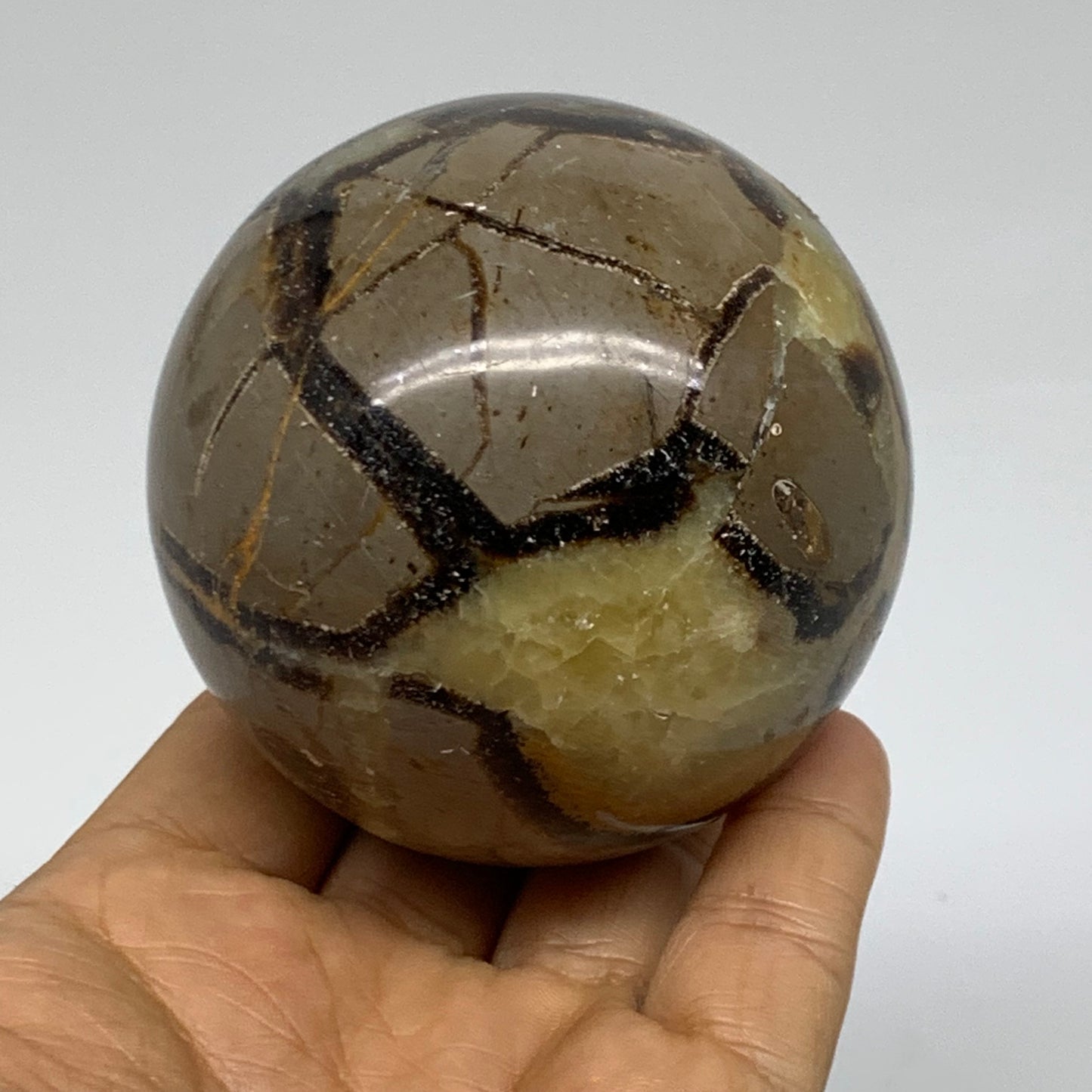 1 lbs, 2.7" (68mm), Natural Septarian Sphere Crystal Gemstone Ball, B37922