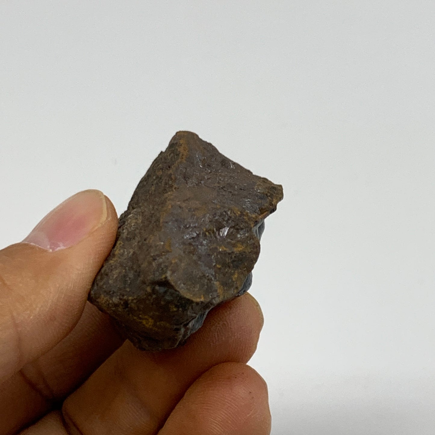 77.6g, 2.2"x1.3"x0.8", Rough Hematite Botryoidal Mineral Crystal, B37079