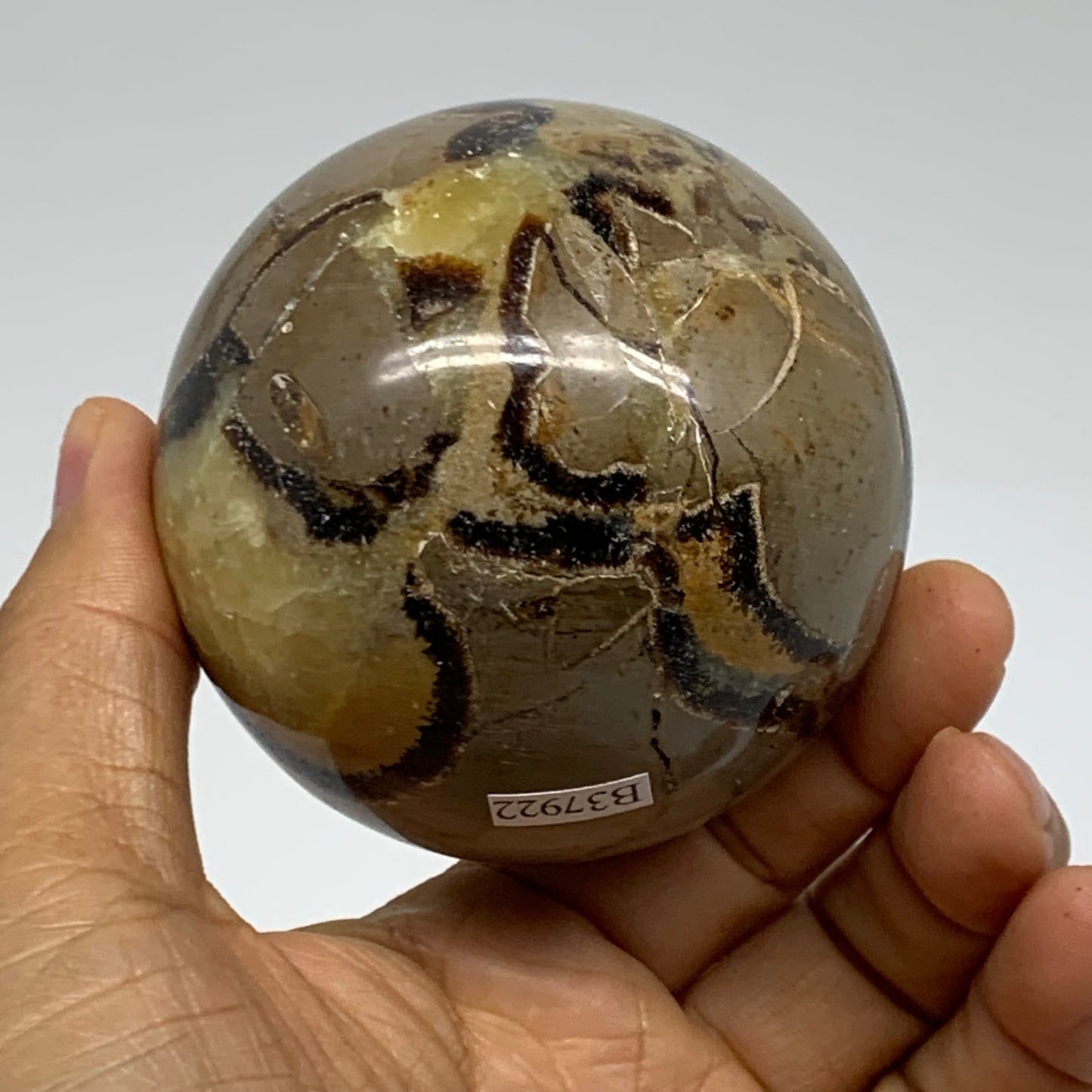 1 lbs, 2.7" (68mm), Natural Septarian Sphere Crystal Gemstone Ball, B37922