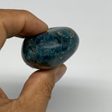113.1g, 2.2"x1.6"x1", Blue Apatite Palm-Stone Polished @Madagascar, B31481