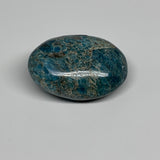 113.1g, 2.2"x1.6"x1", Blue Apatite Palm-Stone Polished @Madagascar, B31481