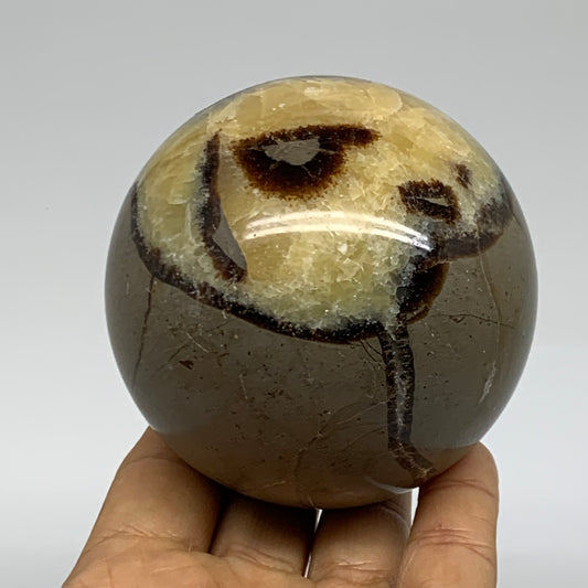 1.4 lbs, 3" (71mm), Natural Septarian Sphere Crystal Gemstone Ball, B37923