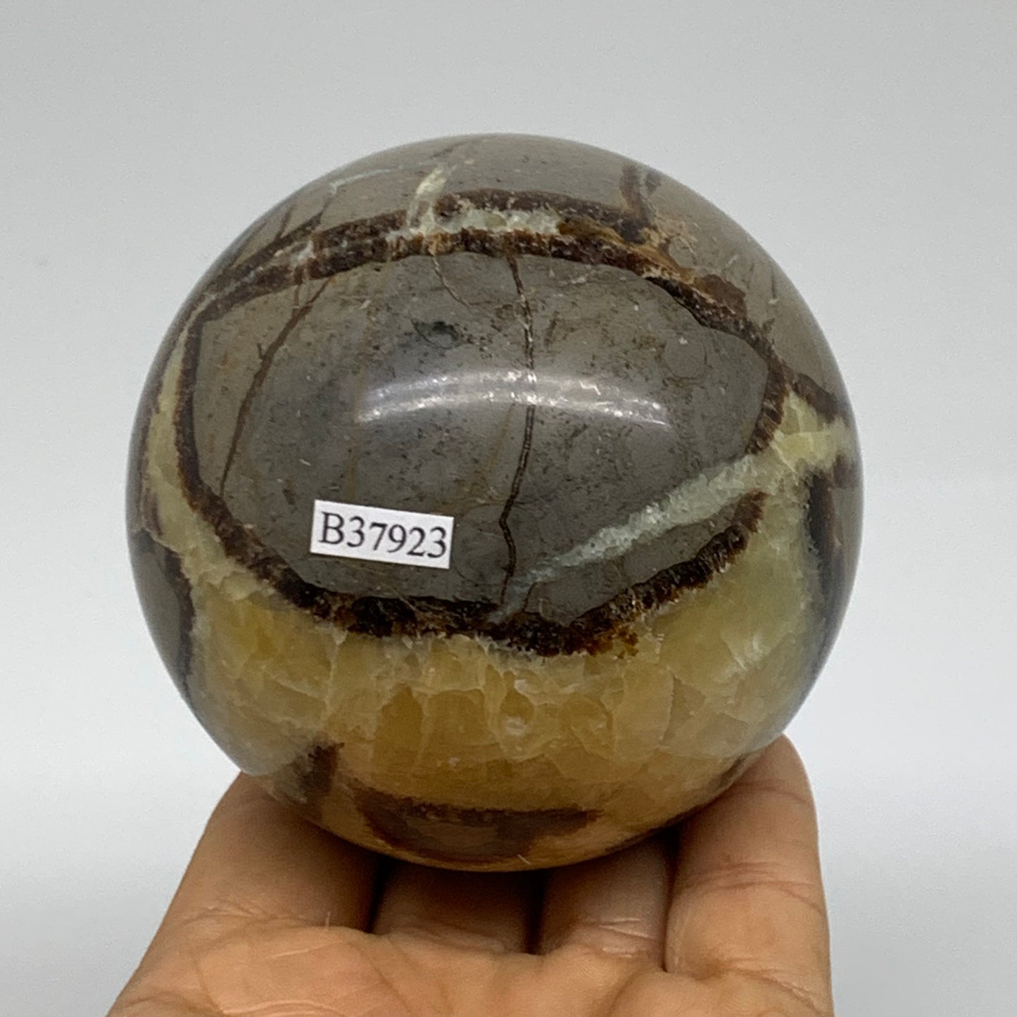 1.4 lbs, 3" (71mm), Natural Septarian Sphere Crystal Gemstone Ball, B37923
