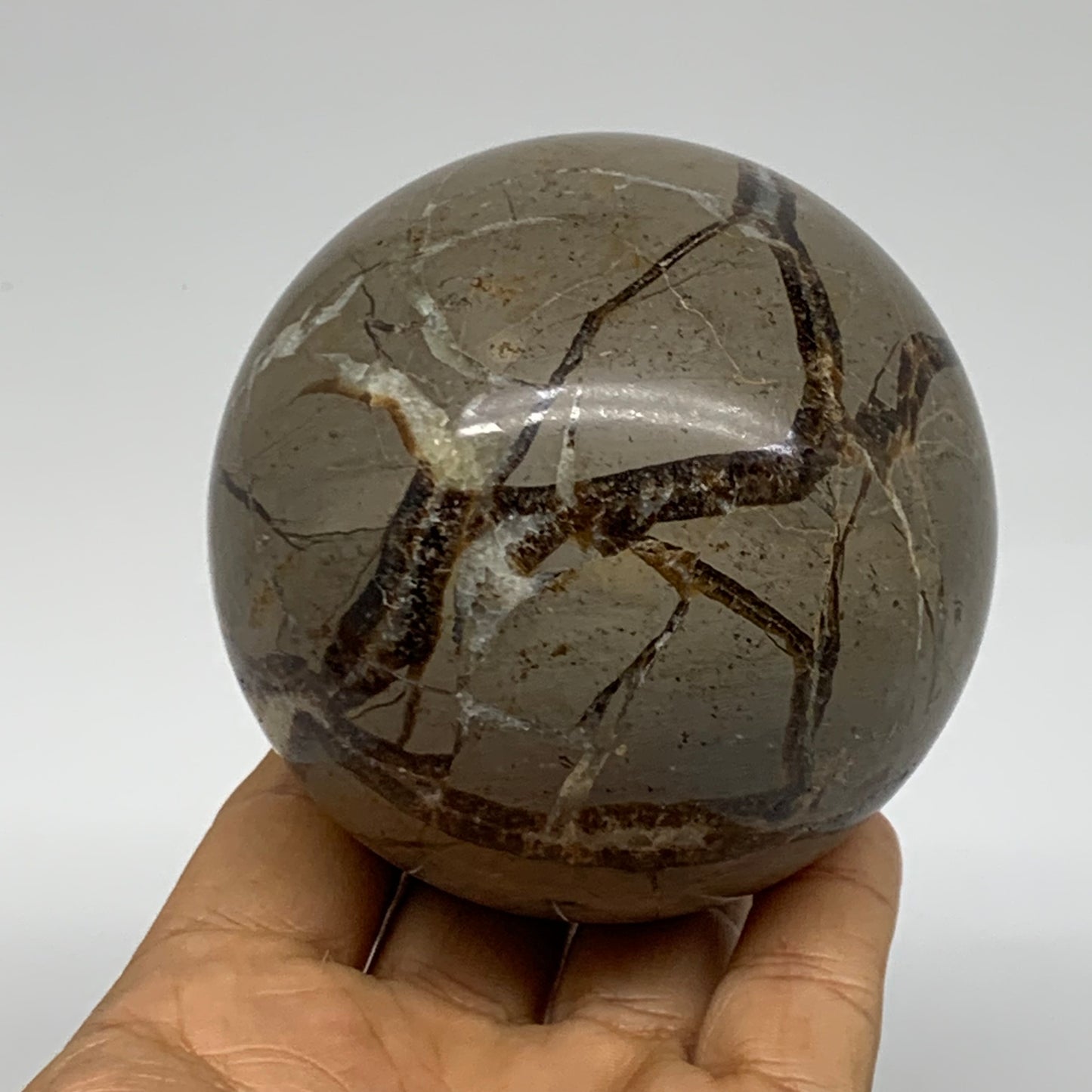 1.4 lbs, 3" (71mm), Natural Septarian Sphere Crystal Gemstone Ball, B37923