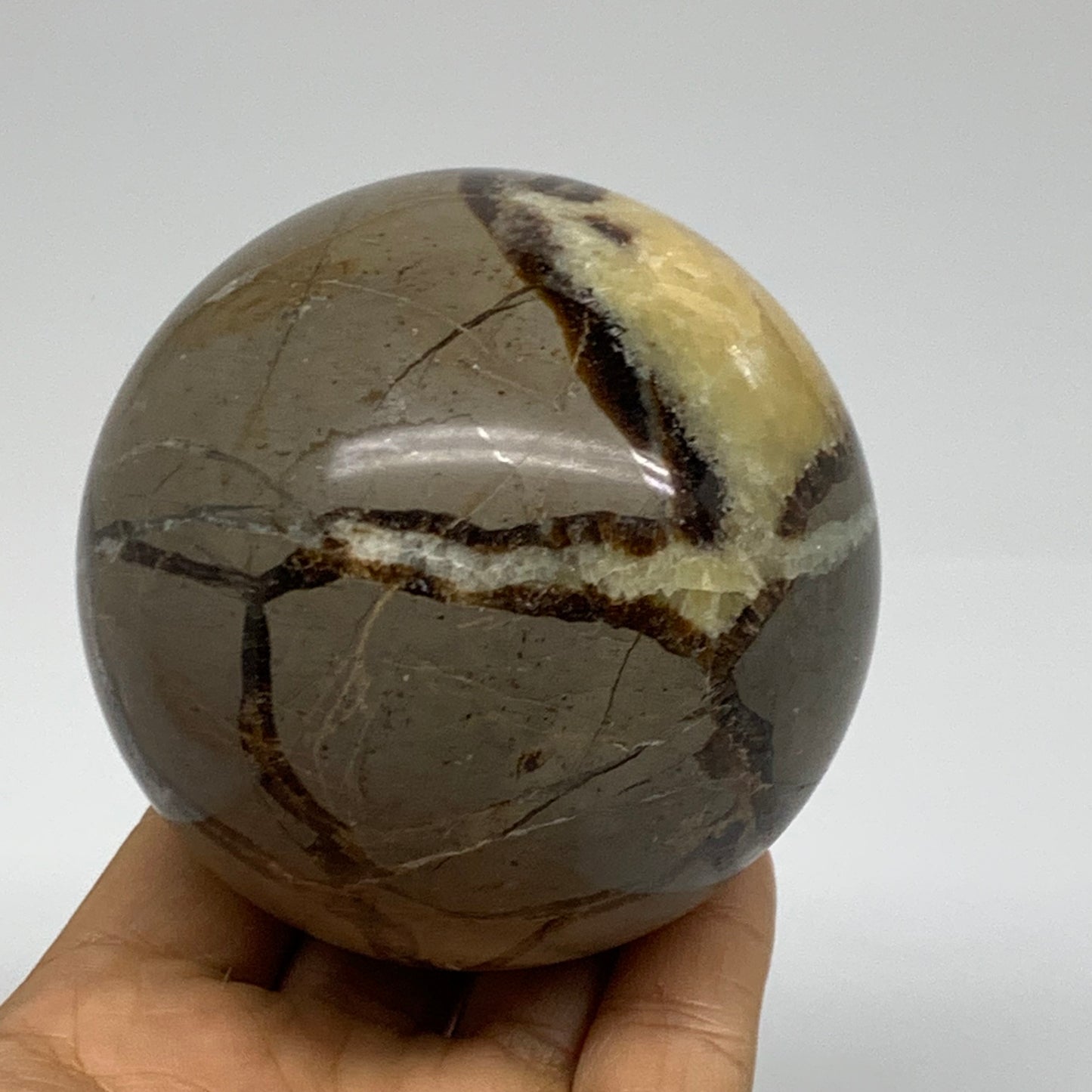 1.4 lbs, 3" (71mm), Natural Septarian Sphere Crystal Gemstone Ball, B37923