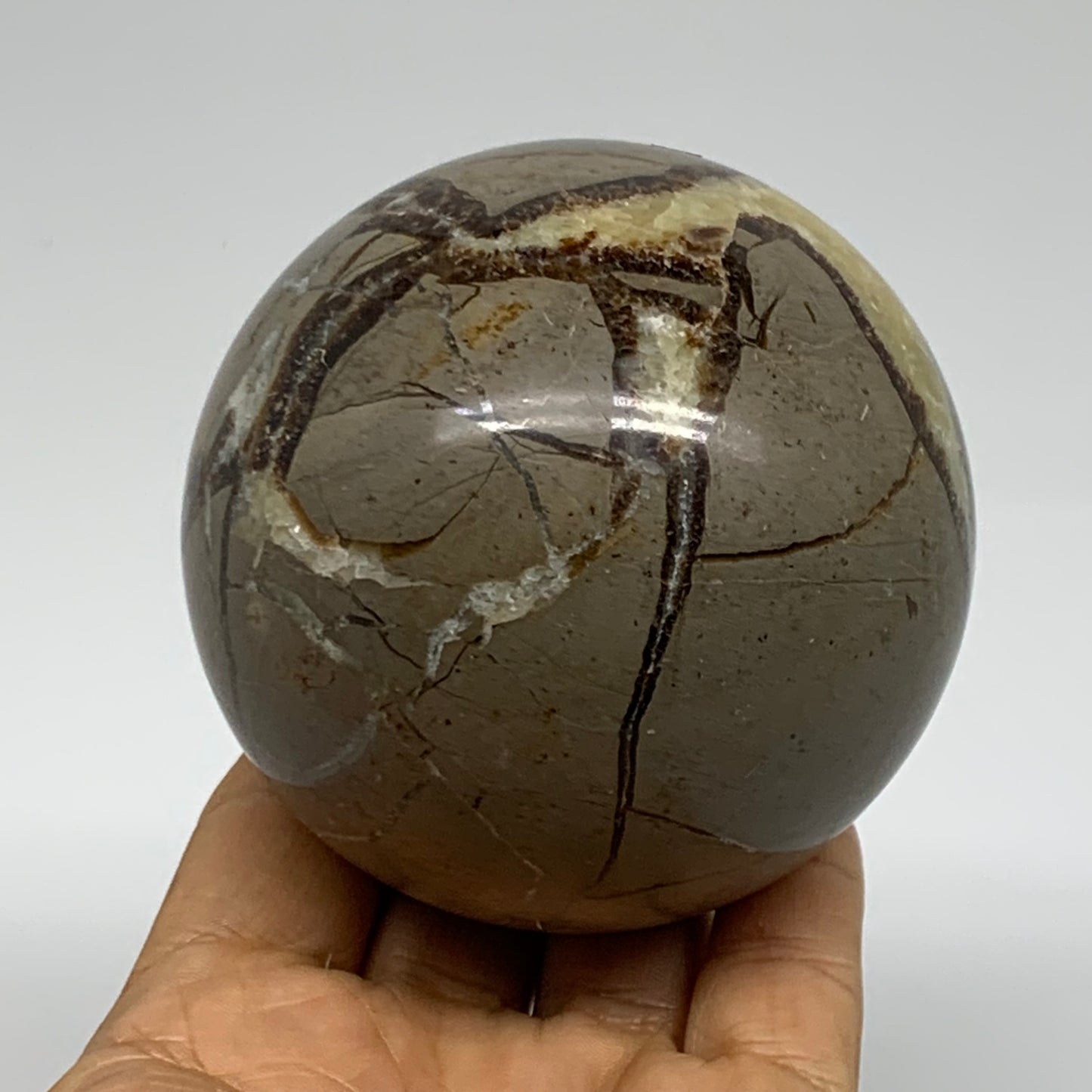1.4 lbs, 3" (71mm), Natural Septarian Sphere Crystal Gemstone Ball, B37923