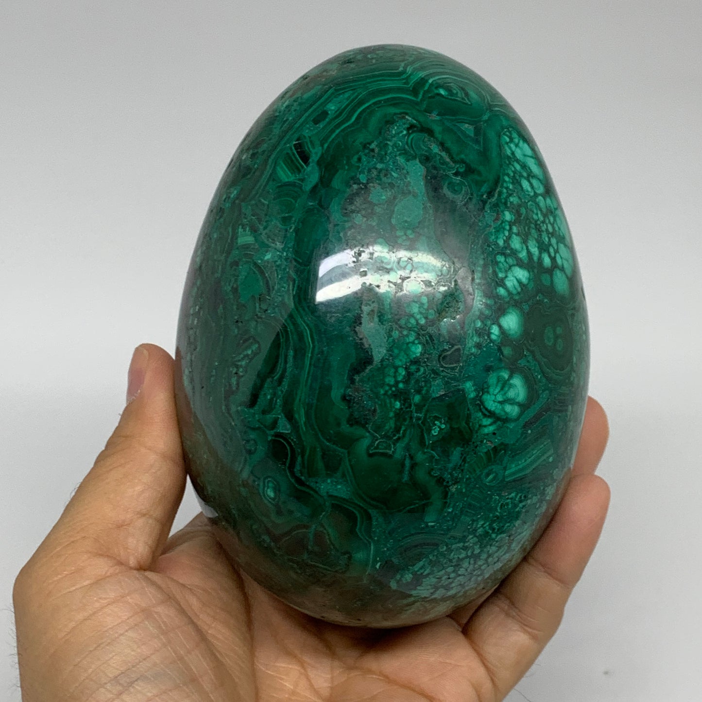 3.42 lbs, 4.8"x3.4", Natural Solid Malachite Egg Polished Gemstone @Congo, B3279