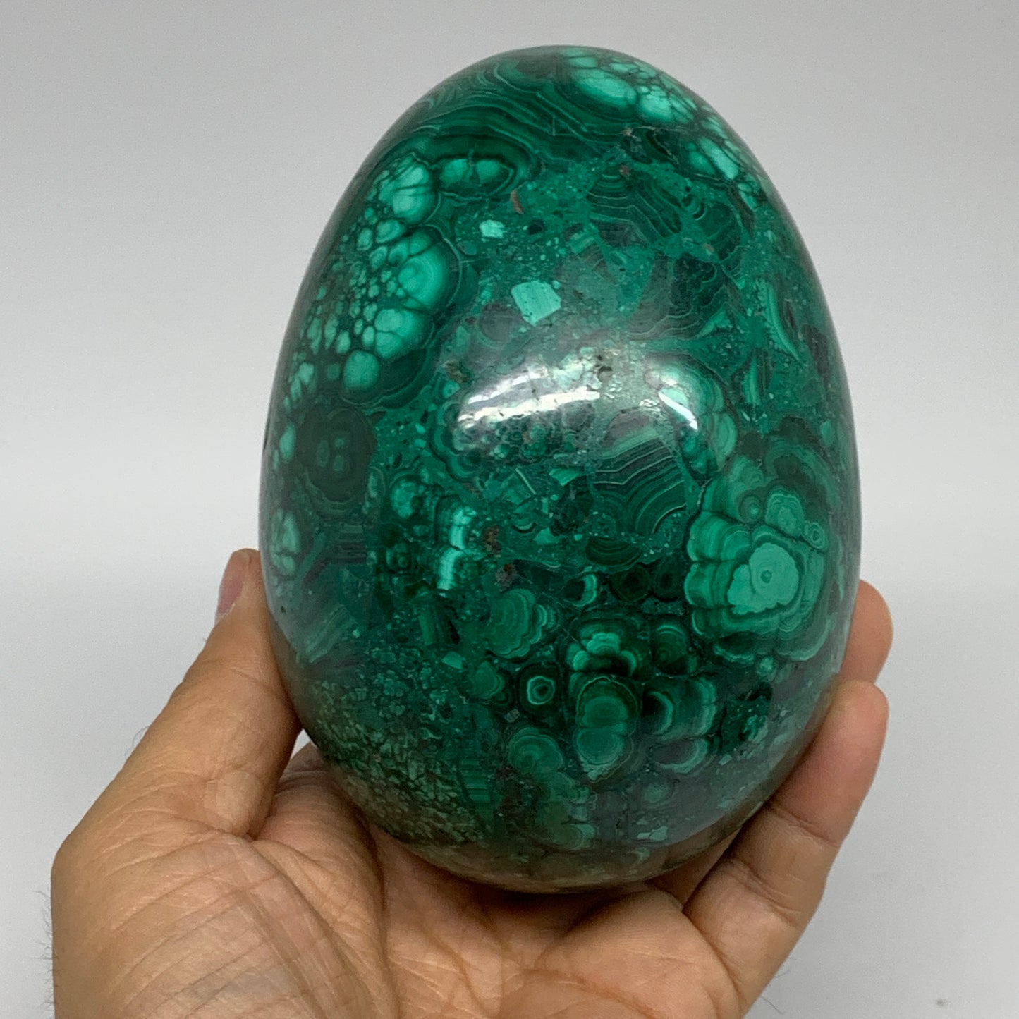 3.42 lbs, 4.8"x3.4", Natural Solid Malachite Egg Polished Gemstone @Congo, B3279