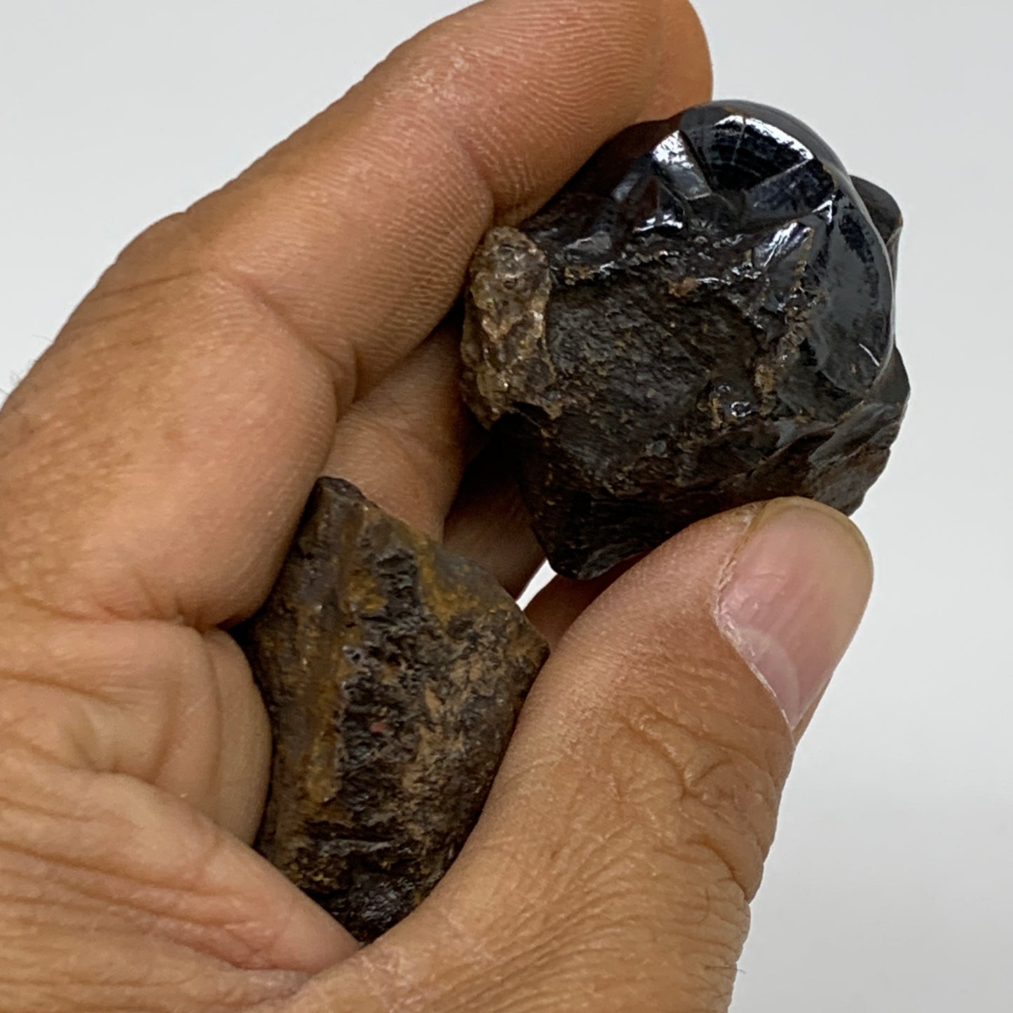 99.9g, 1.5", 2pcs, Rough Hematite Botryoidal Mineral Crystal @Morocco, B37081