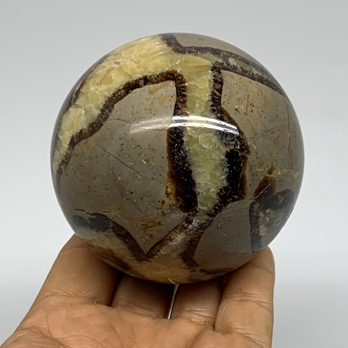 1.3 lbs, 3" (70mm), Natural Septarian Sphere Crystal Gemstone Ball, B37924