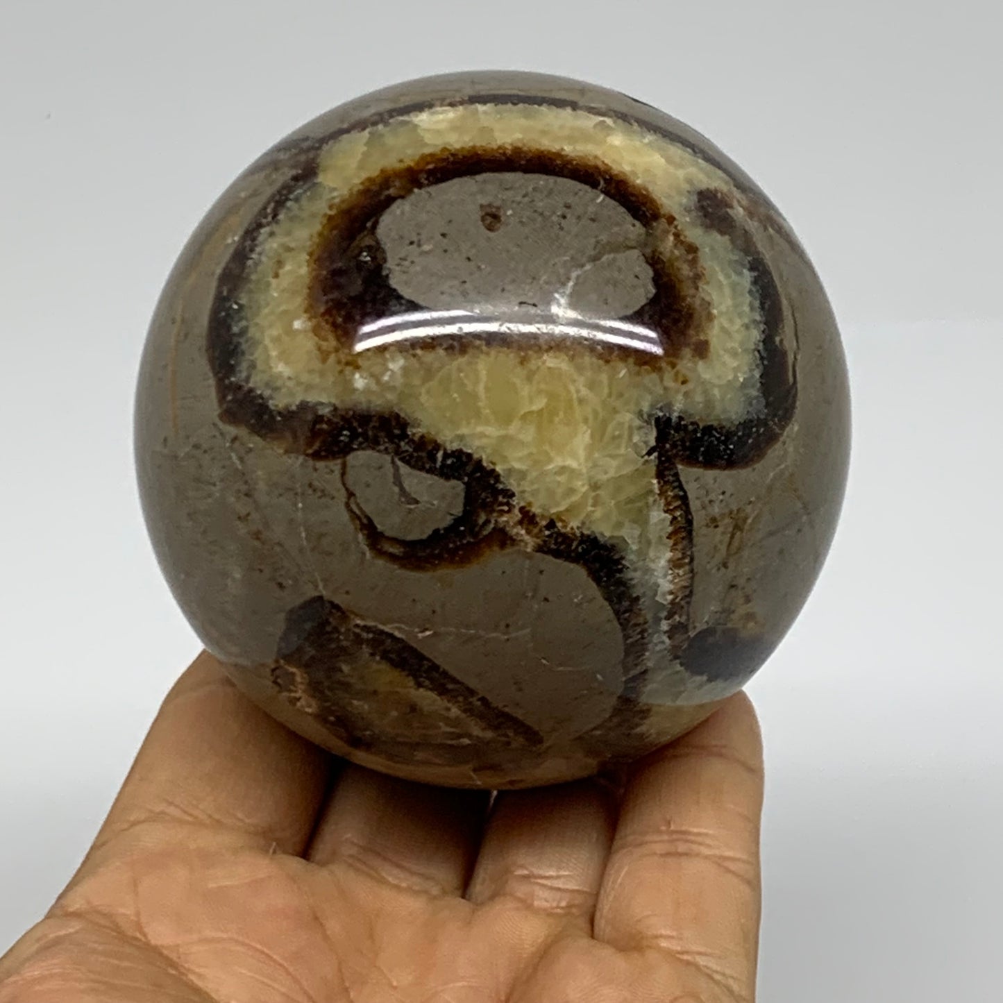 1.3 lbs, 3" (70mm), Natural Septarian Sphere Crystal Gemstone Ball, B37924