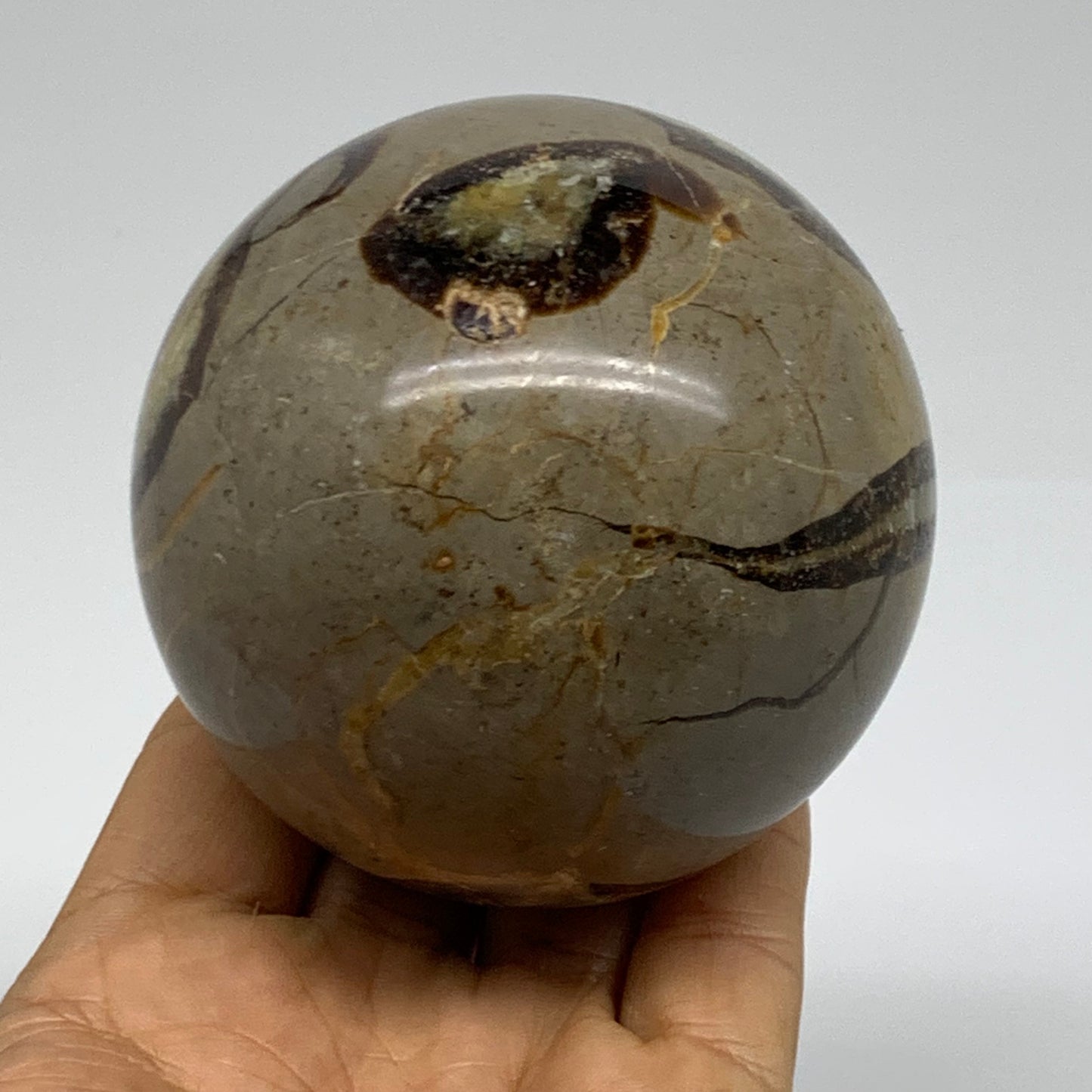 1.3 lbs, 3" (70mm), Natural Septarian Sphere Crystal Gemstone Ball, B37924