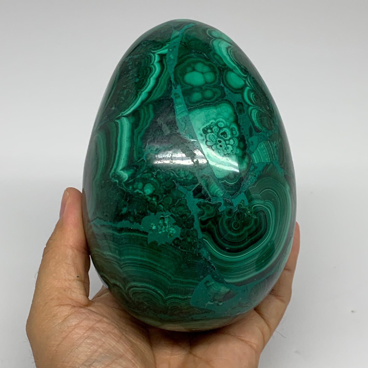 3.9 lbs, 5.1"x3.6", Natural Solid Malachite Egg Polished Gemstone @Congo, B32792