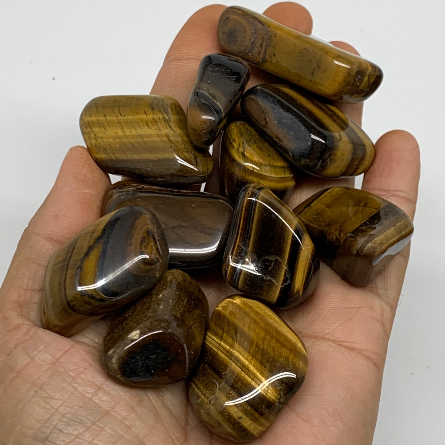 2.2 Lbs, 0.9"-1.8", 56pc, Tiger's Eye Tumbled Polished Wholesale , B37082