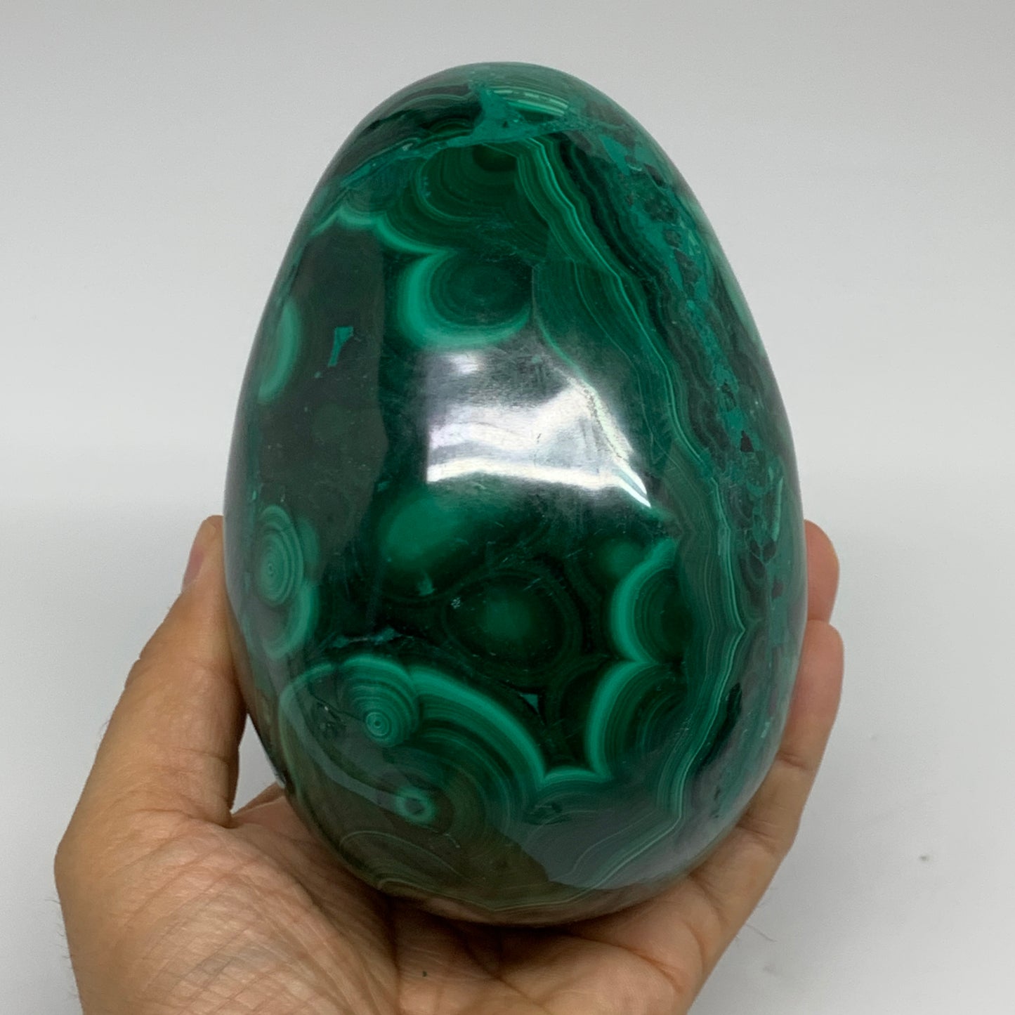 3.9 lbs, 5.1"x3.6", Natural Solid Malachite Egg Polished Gemstone @Congo, B32792