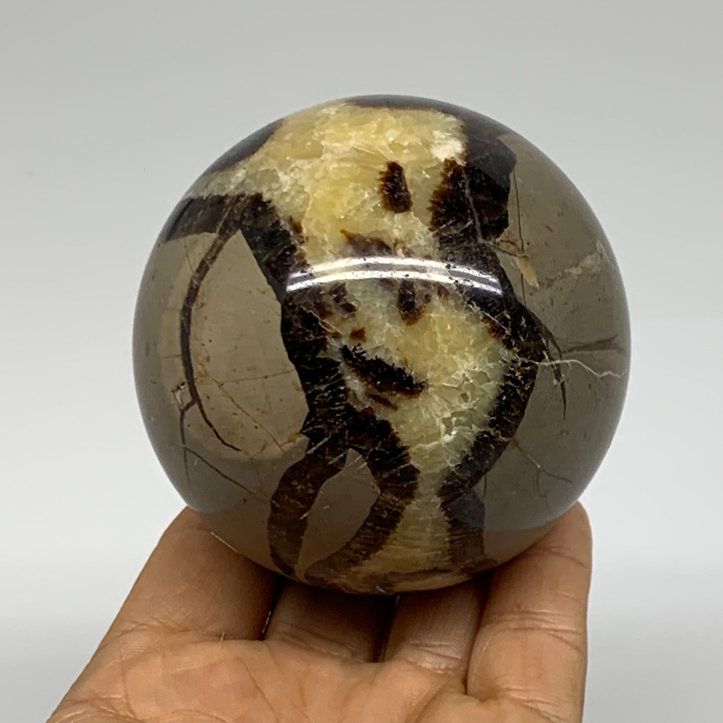 1.16 lbs, 2.8" (71mm), Natural Septarian Sphere Crystal Gemstone Ball, B37925