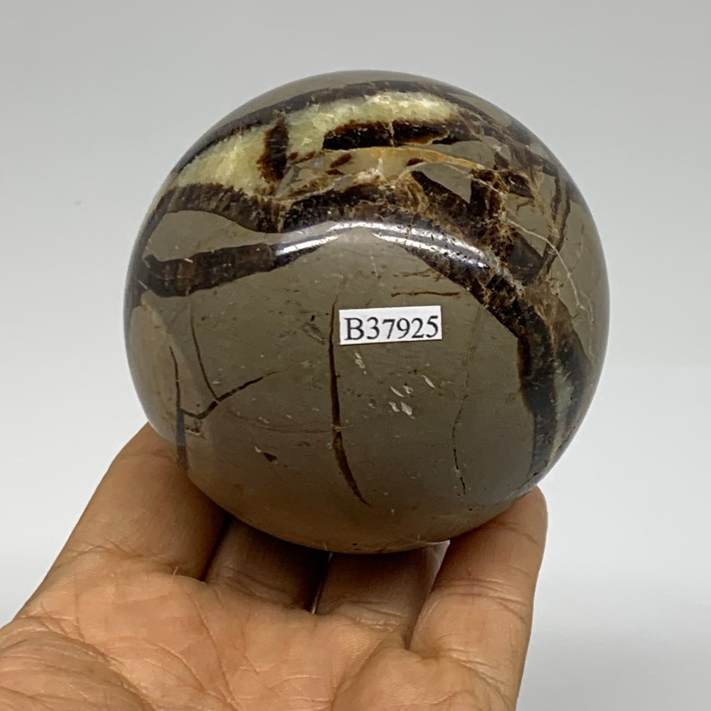 1.16 lbs, 2.8" (71mm), Natural Septarian Sphere Crystal Gemstone Ball, B37925