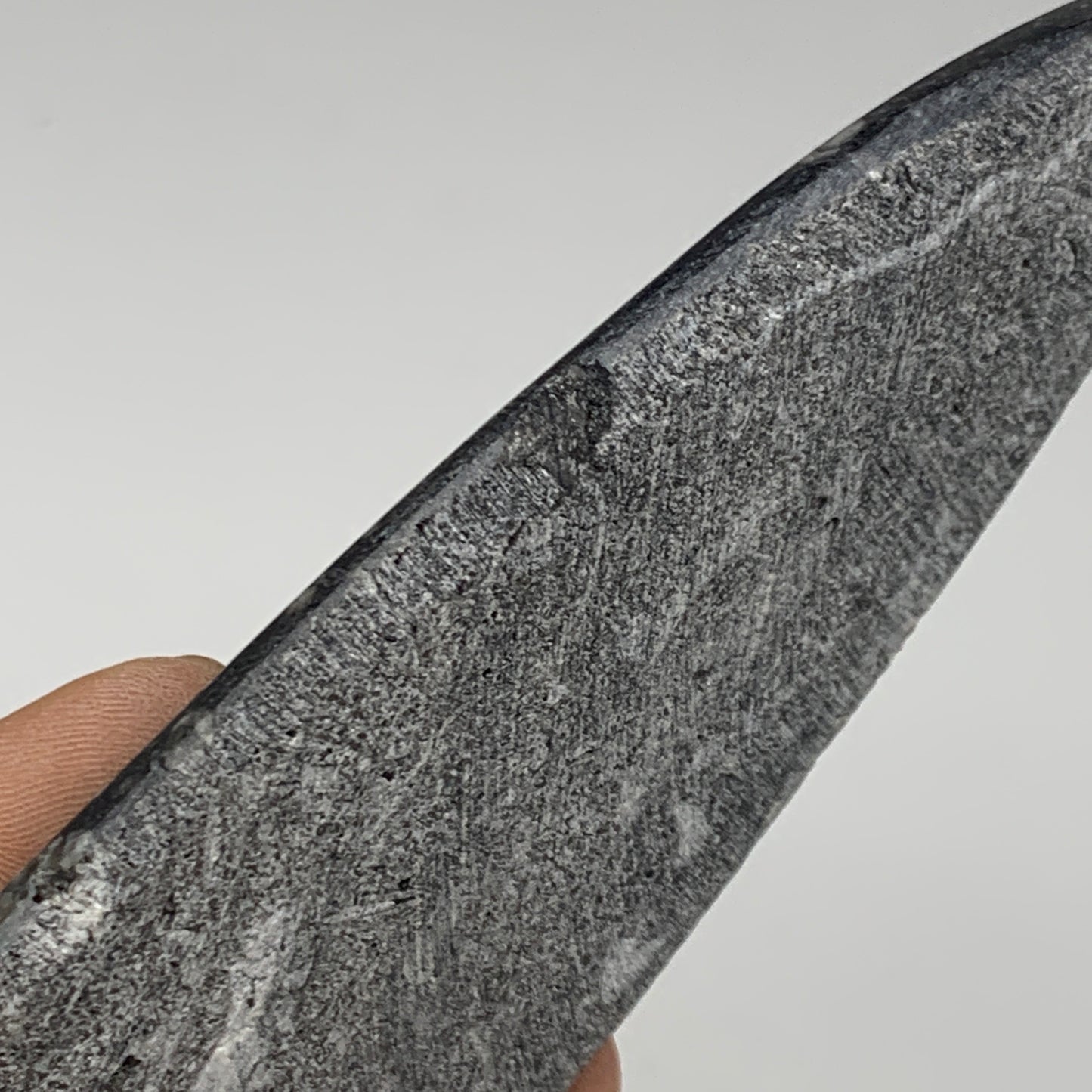 163g, 7"x1.8"x0.5" Fossils Orthoceras (straight horn) Squid @Morocco,B29949