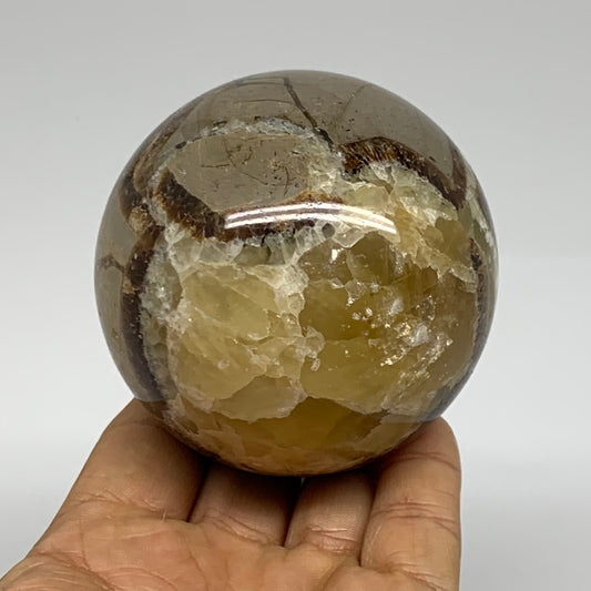 1.13 lbs, 2.8" (71mm), Natural Septarian Sphere Crystal Gemstone Ball, B37926