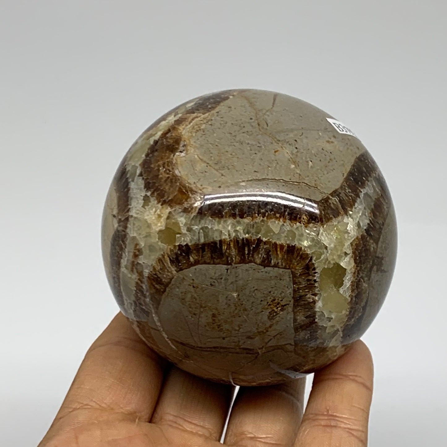 1.13 lbs, 2.8" (71mm), Natural Septarian Sphere Crystal Gemstone Ball, B37926