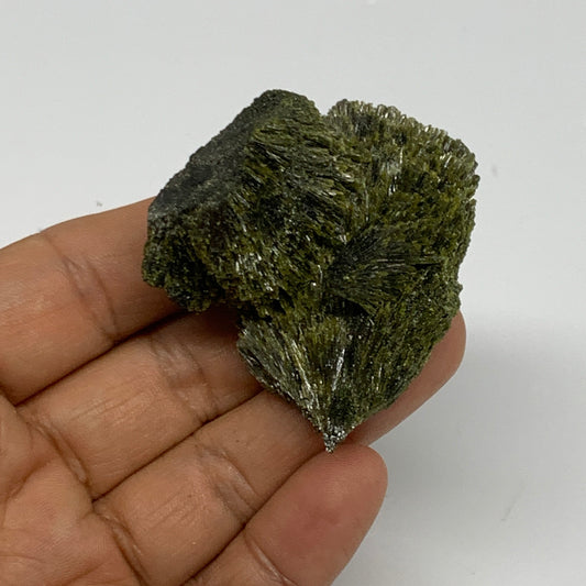 49.3g,2"x1.6"x0.5",Green Epidote Custer/Leaf Mineral Specimen @Pakistan,B27630