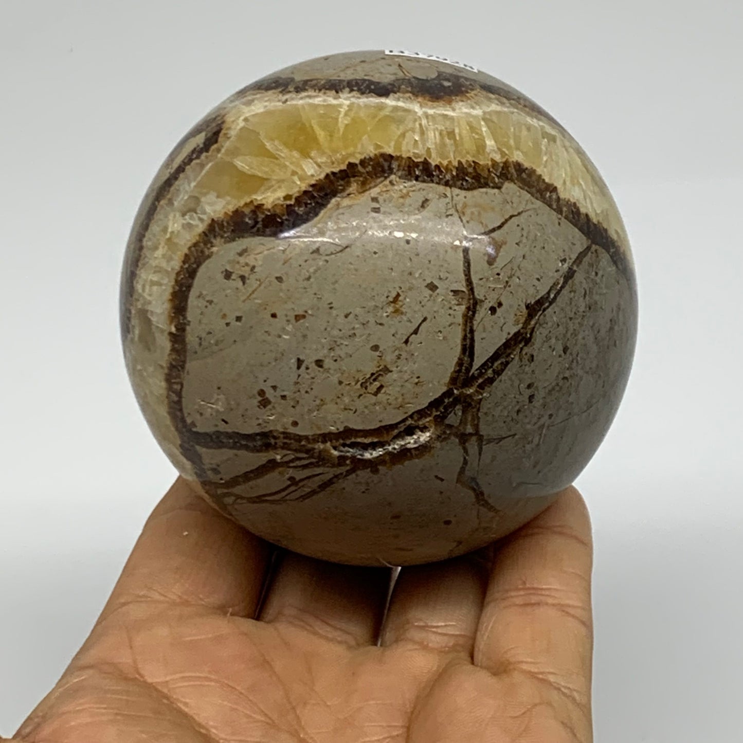 1.3 lbs, 3" (75mm), Natural Septarian Sphere Crystal Gemstone Ball, B37928