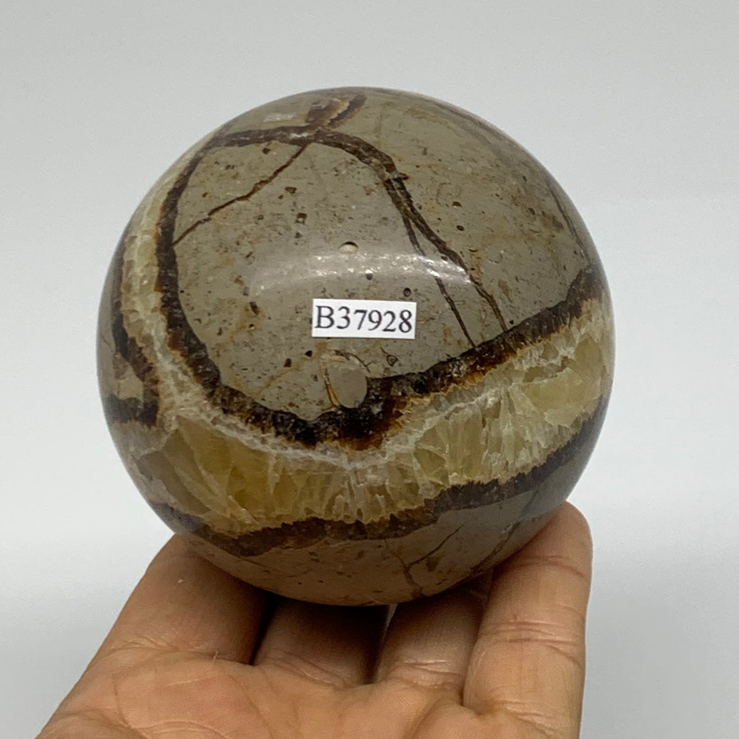 1.3 lbs, 3" (75mm), Natural Septarian Sphere Crystal Gemstone Ball, B37928
