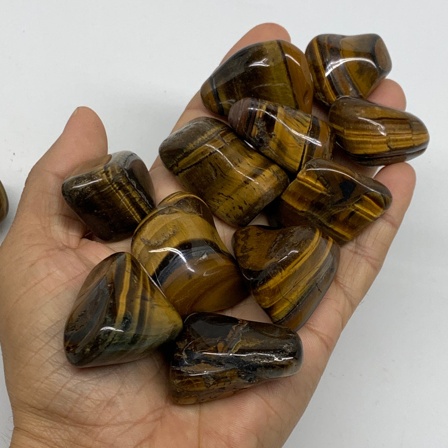 2.2 Lbs, 1"-2", 36pc, Tiger's Eye Tumbled Polished Wholesale , B37085