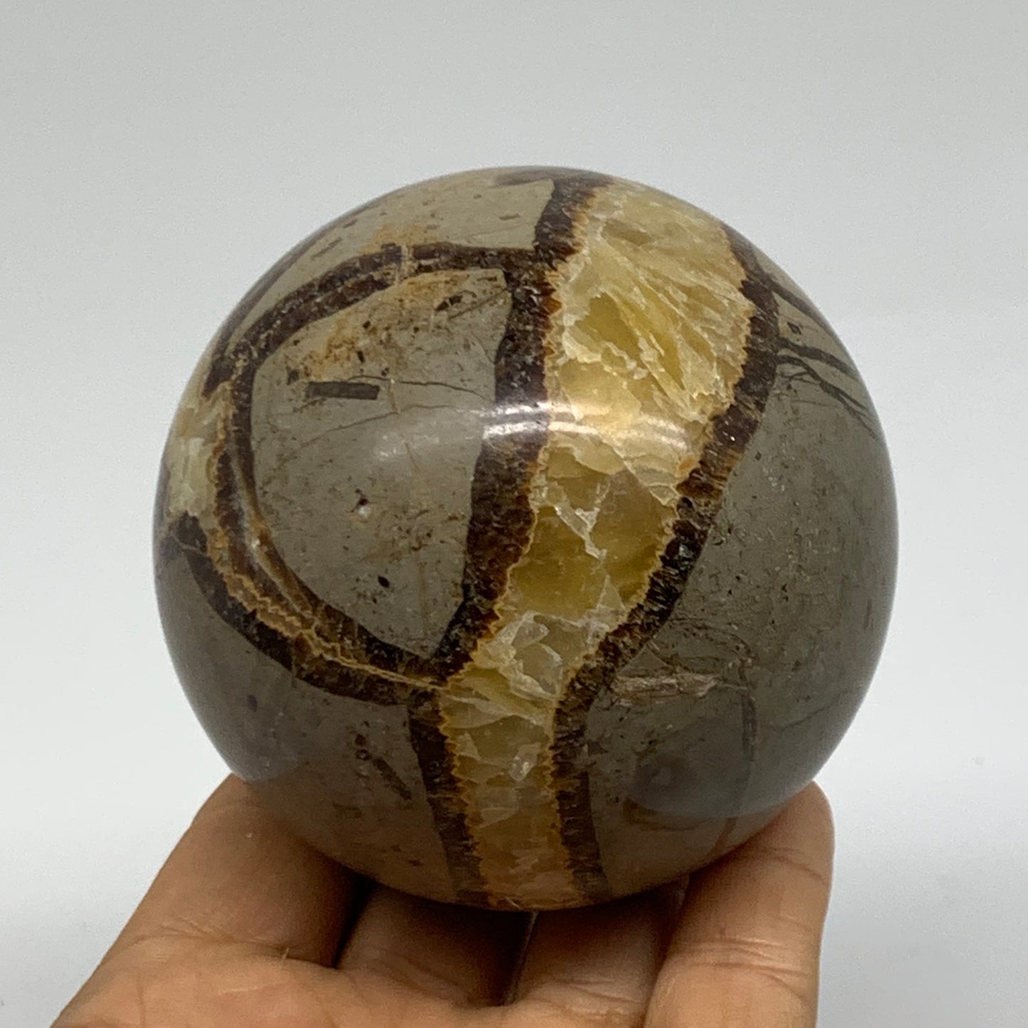 1.3 lbs, 3" (75mm), Natural Septarian Sphere Crystal Gemstone Ball, B37928