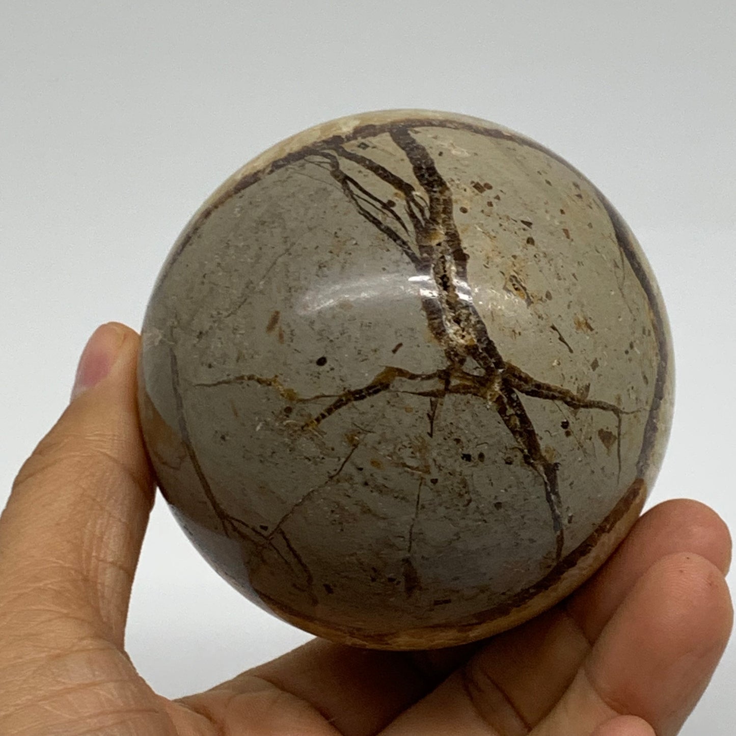 1.3 lbs, 3" (75mm), Natural Septarian Sphere Crystal Gemstone Ball, B37928