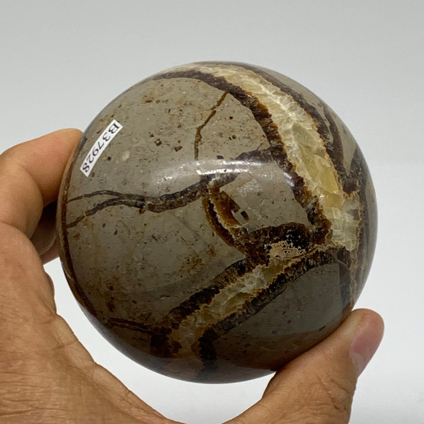 1.3 lbs, 3" (75mm), Natural Septarian Sphere Crystal Gemstone Ball, B37928