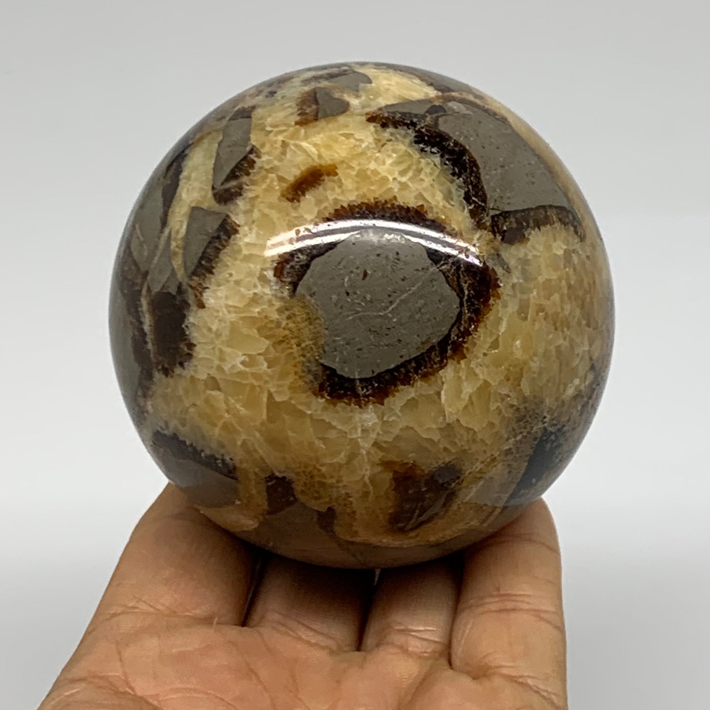 1.28 lbs, 3" (75mm), Natural Septarian Sphere Crystal Gemstone Ball, B37929