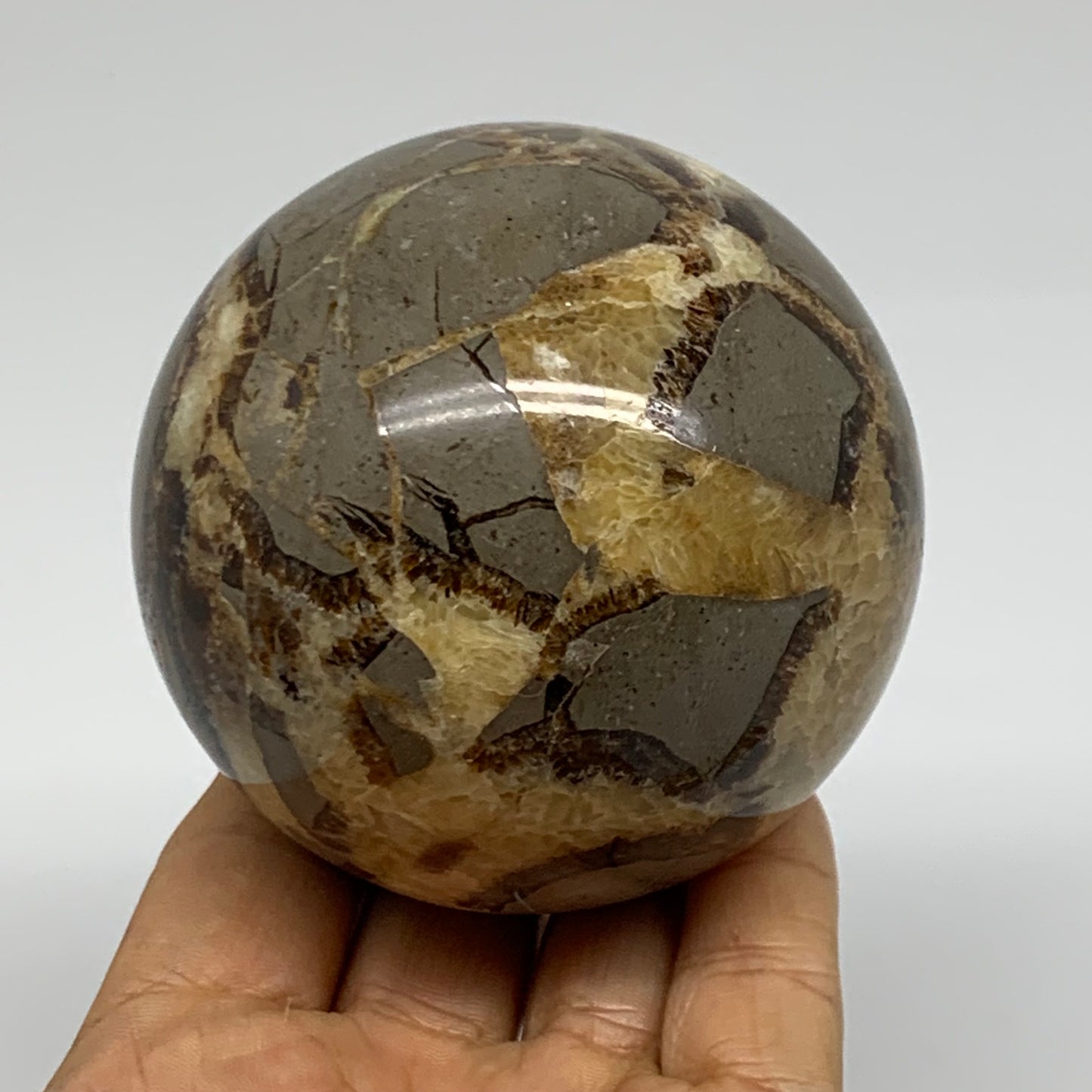 1.28 lbs, 3" (75mm), Natural Septarian Sphere Crystal Gemstone Ball, B37929