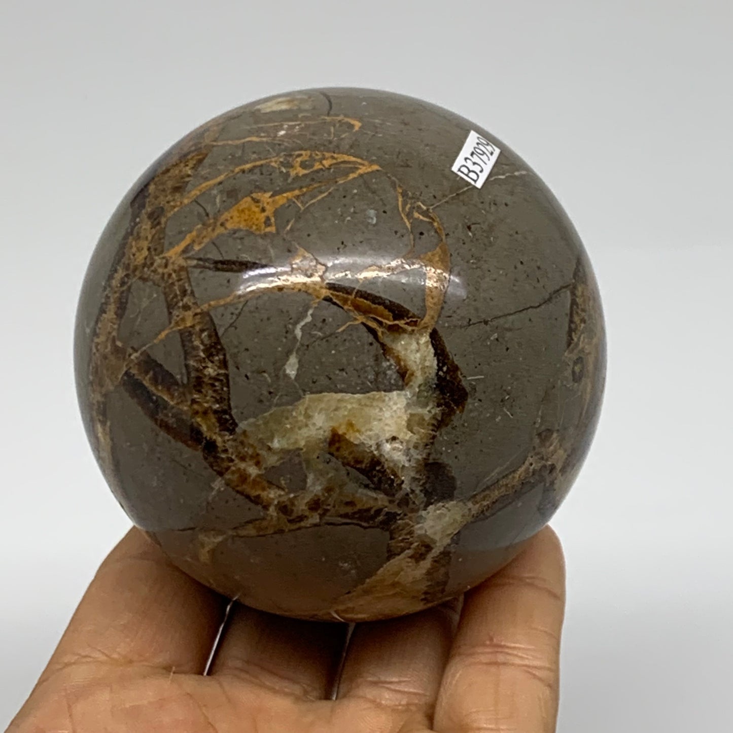 1.28 lbs, 3" (75mm), Natural Septarian Sphere Crystal Gemstone Ball, B37929
