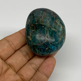 120.4g, 2.3"x1.7"x1.1", Blue Apatite Palm-Stone Polished @Madagascar, B31489