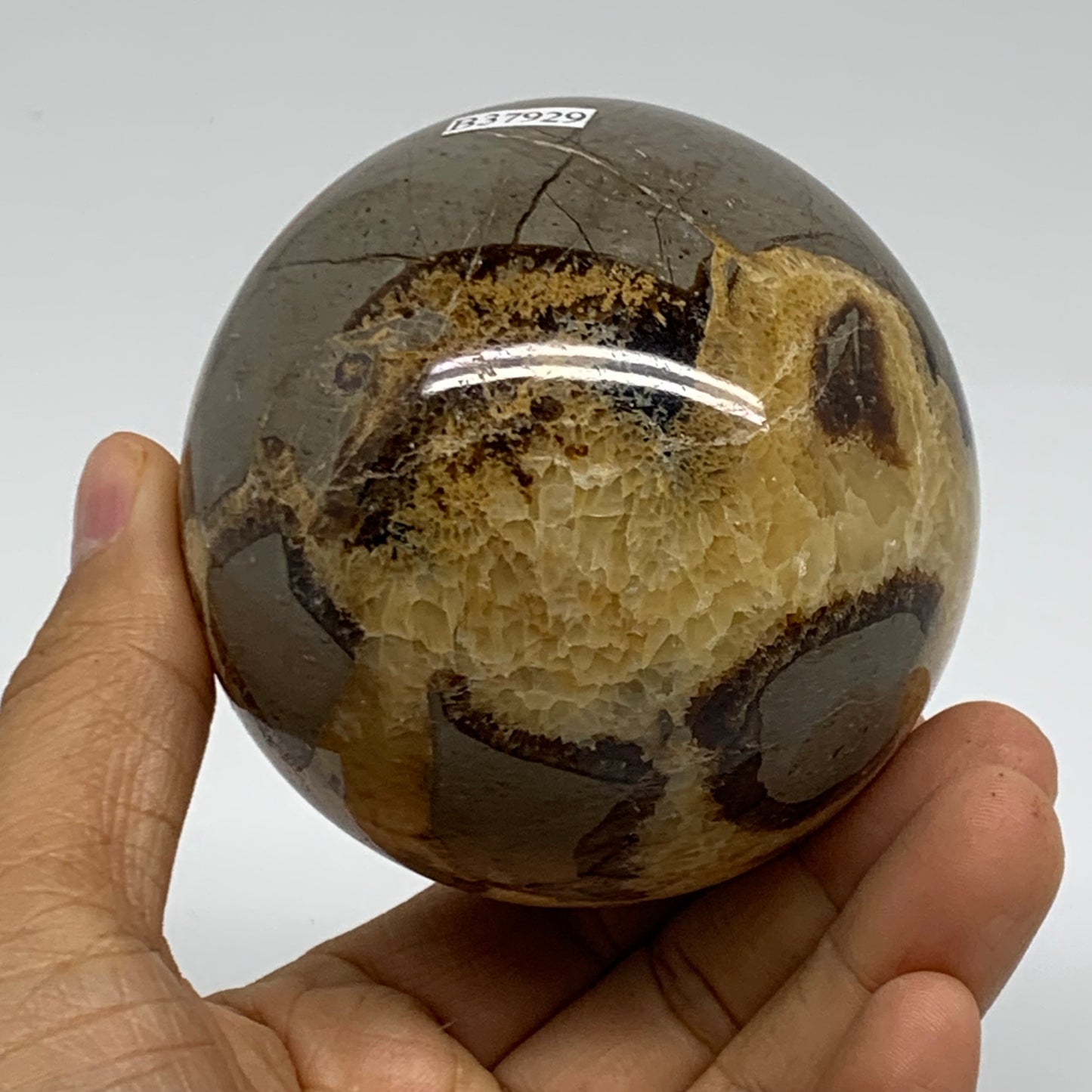 1.28 lbs, 3" (75mm), Natural Septarian Sphere Crystal Gemstone Ball, B37929