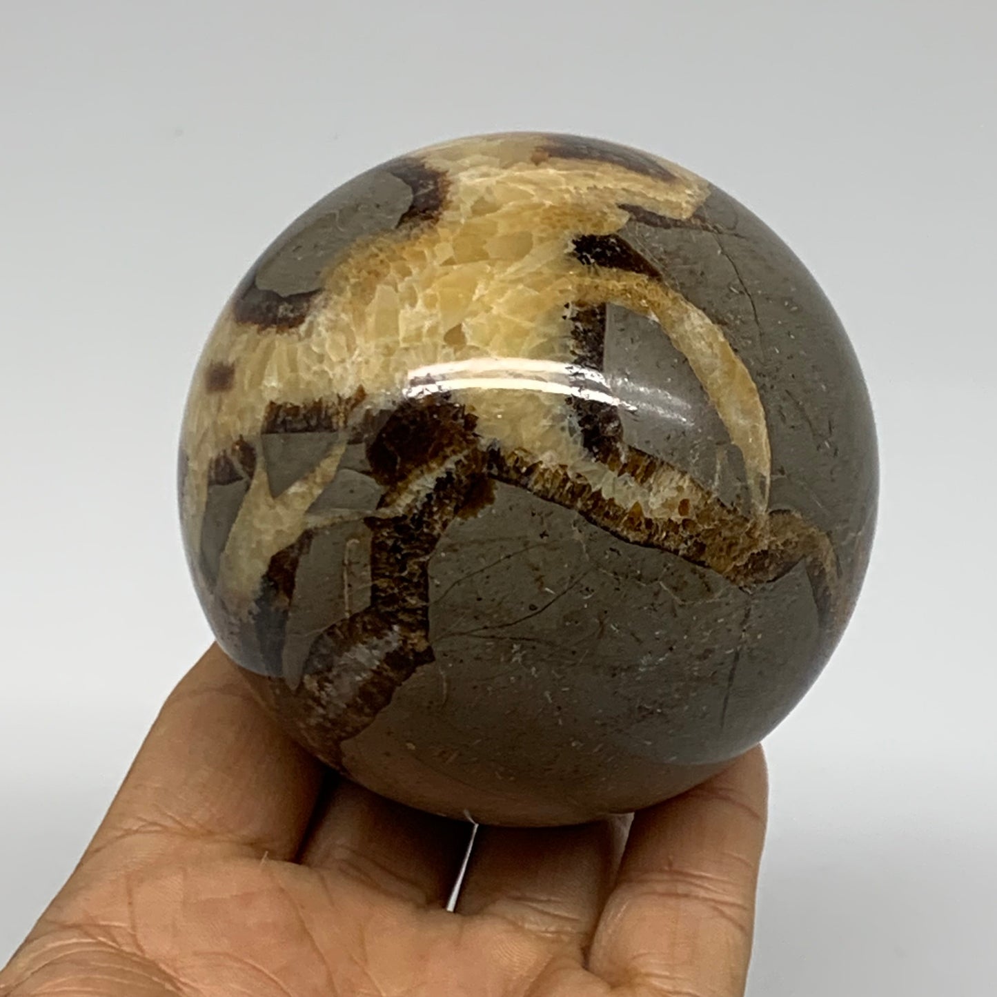1.28 lbs, 3" (75mm), Natural Septarian Sphere Crystal Gemstone Ball, B37929