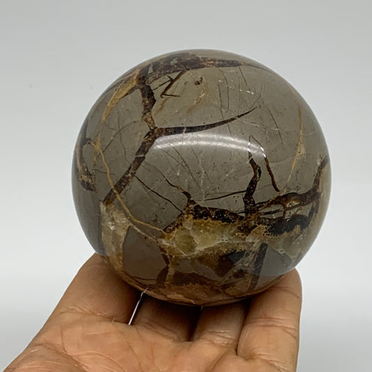 1.2 lbs, 2.9" (74mm), Natural Septarian Sphere Crystal Gemstone Ball, B37930