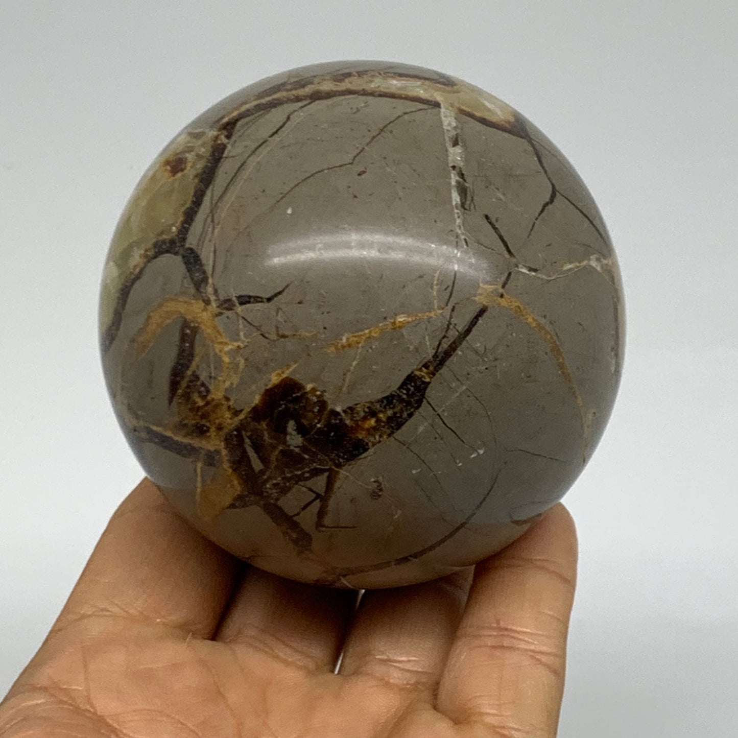 1.2 lbs, 2.9" (74mm), Natural Septarian Sphere Crystal Gemstone Ball, B37930