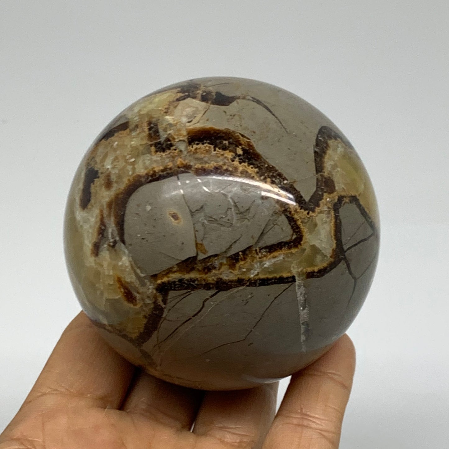 1.2 lbs, 2.9" (74mm), Natural Septarian Sphere Crystal Gemstone Ball, B37930