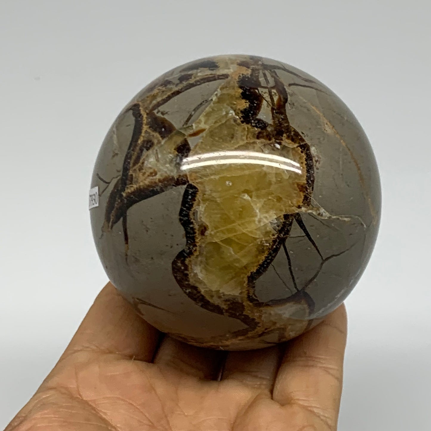 1.2 lbs, 2.9" (74mm), Natural Septarian Sphere Crystal Gemstone Ball, B37930
