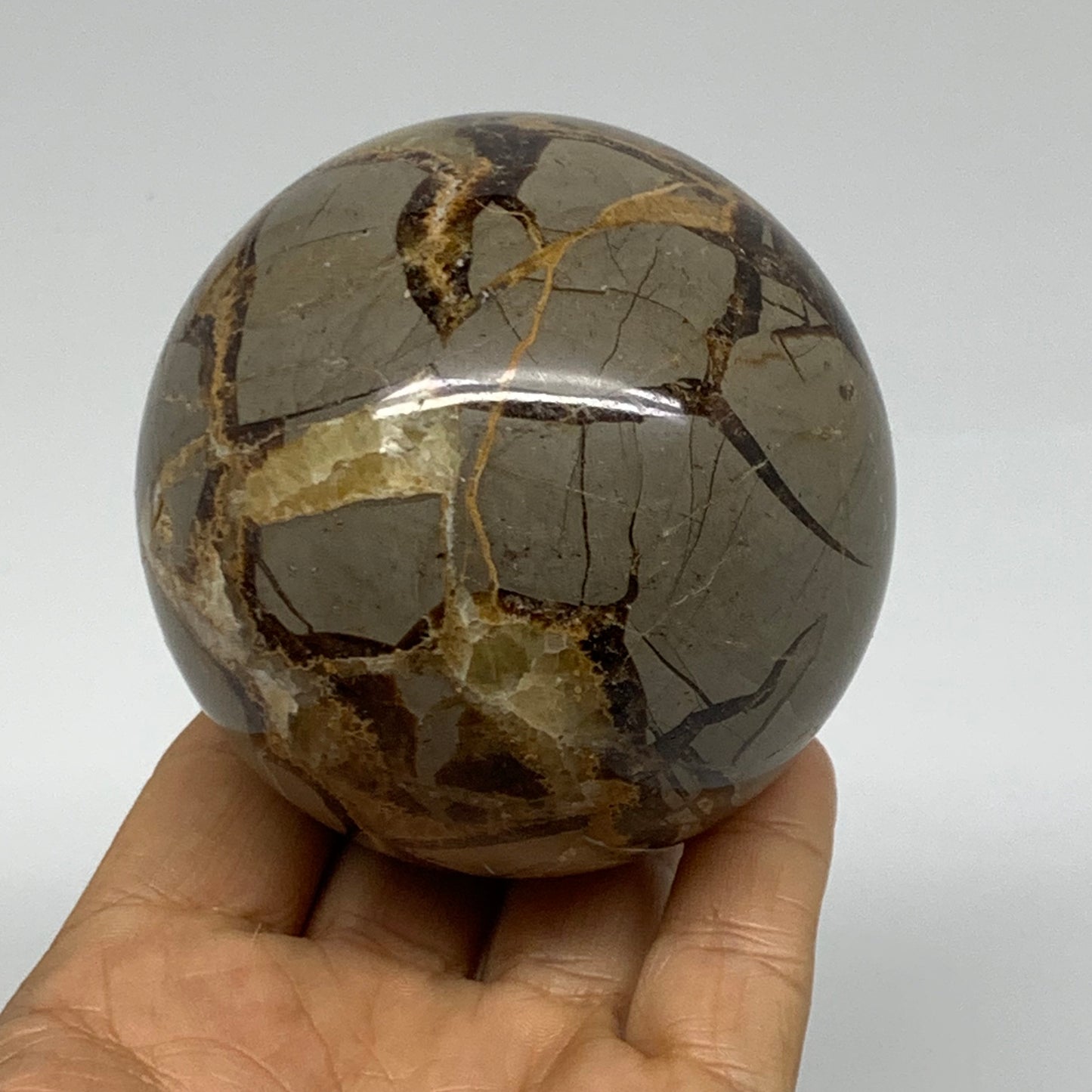 1.2 lbs, 2.9" (74mm), Natural Septarian Sphere Crystal Gemstone Ball, B37930