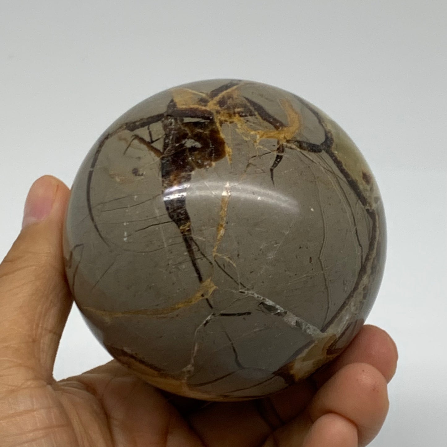 1.2 lbs, 2.9" (74mm), Natural Septarian Sphere Crystal Gemstone Ball, B37930