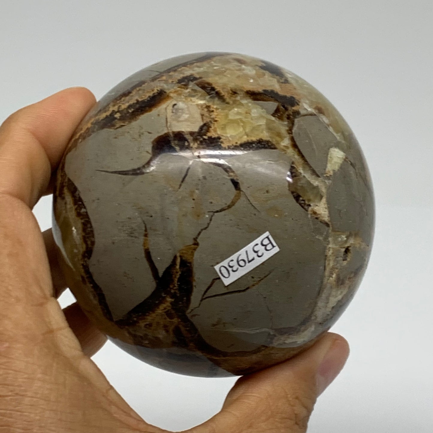 1.2 lbs, 2.9" (74mm), Natural Septarian Sphere Crystal Gemstone Ball, B37930