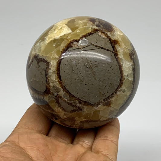 1.28 lbs, 3" (74mm), Natural Septarian Sphere Crystal Gemstone Ball, B37931