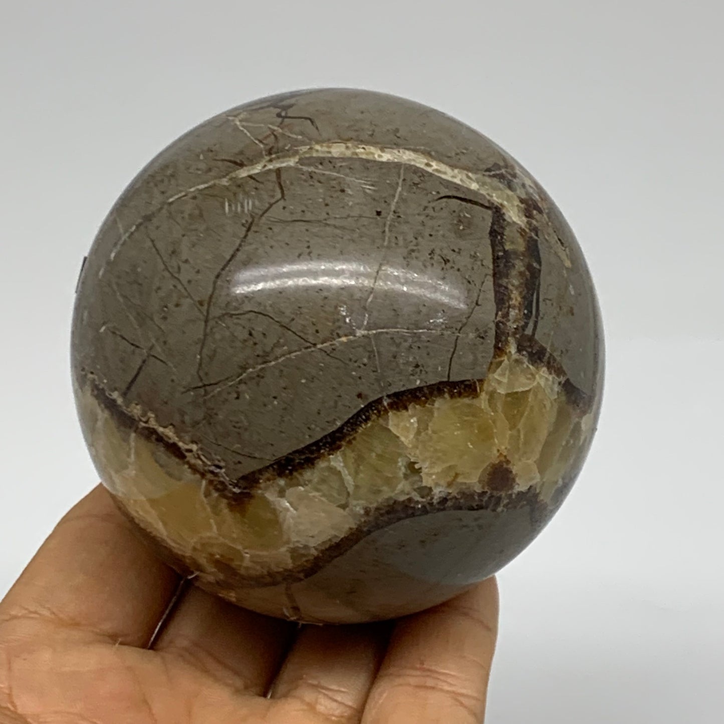 1.28 lbs, 3" (74mm), Natural Septarian Sphere Crystal Gemstone Ball, B37931
